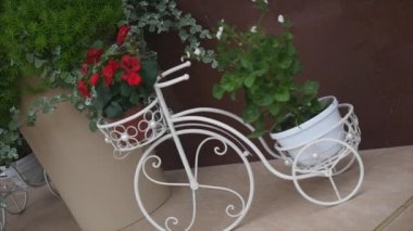 Küçük çiçekler. Avluda parlak flowerbed