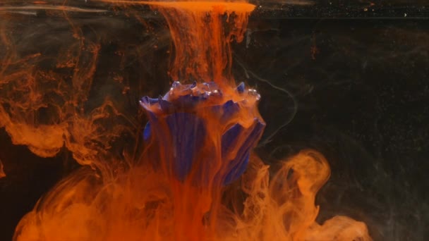 Plan atmosphérique étonnamment merveilleux d'une belle rose bleue mélangeant avec de l'encre dans l'eau — Video