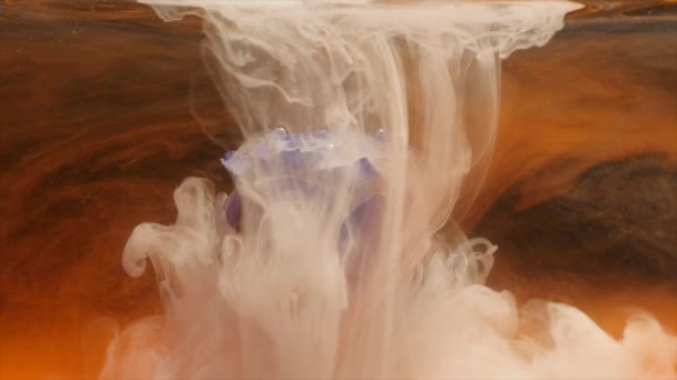 Incredibilmente meraviglioso colpo atmosferico di una bella rosa blu miscelazione con inchiostro in acqua — Video Stock