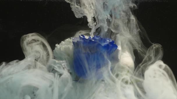Amazingly wonderful atmospheric shot of a beautiful blue rose mixing with ink in water — Stock Video