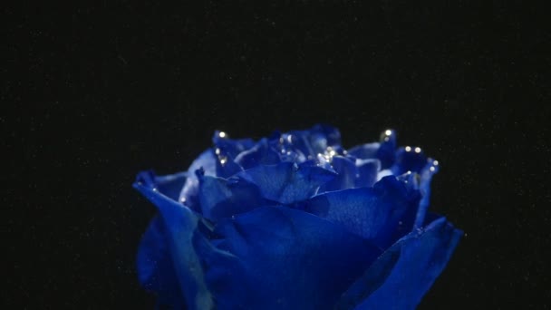 Increíblemente maravillosa toma atmosférica de una hermosa rosa azul mezclándose con tinta en el agua — Vídeos de Stock