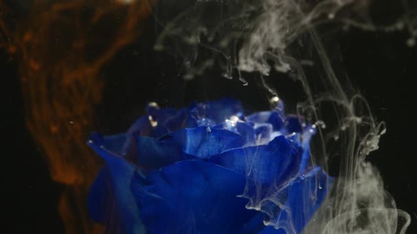 Удивительно прекрасный атмосферный снимок красивой голубой розы, смешивающейся с чернилами в воде — стоковое видео
