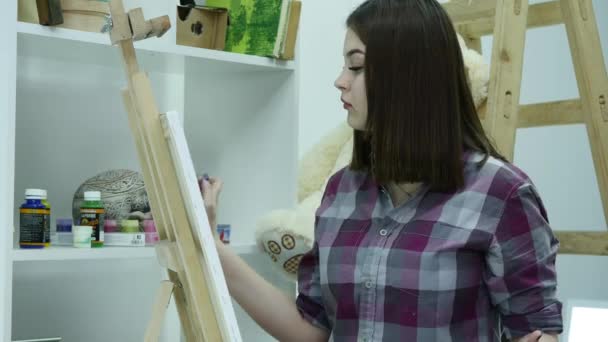 Bellas pinturas de artista sobre lienzo — Vídeo de stock