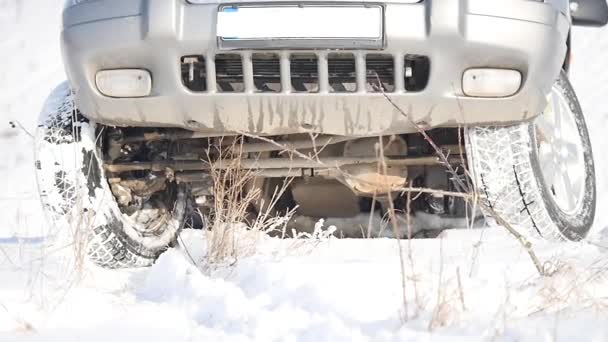4 x 4 aracı binmek karda — Stok video