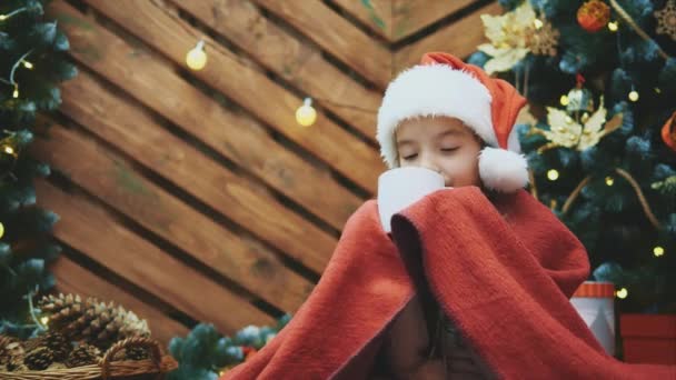 4k βίντεο από χαριτωμένο χαμογελαστό κορίτσι κάθεται άνετα στο σπίτι, πίνοντας ζεστή σοκολάτα στο χριστουγεννιάτικο δέντρο σε ξύλινο φόντο. — Αρχείο Βίντεο