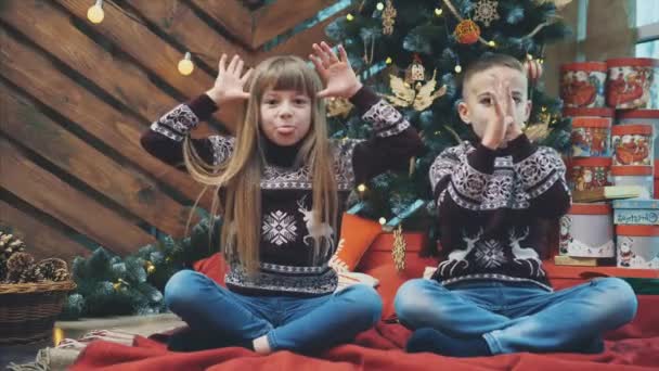 Fullängds roliga barn i ylletröjor imitera elefantöron med händerna och sätta tungor ut, titta på kameran på trä bakgrund med julgran. — Stockvideo