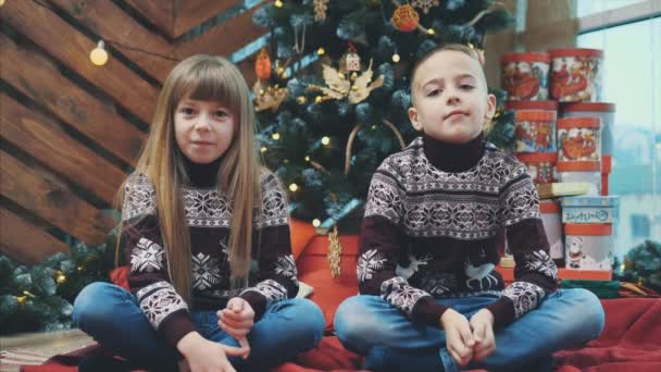 Lustige Kinder in Wollpullovern, die mit den Händen Elefantenohren imitieren und die Zunge ausstrecken, schauen in die Kamera auf Holzgrund mit Weihnachtsbaum. — Stockvideo