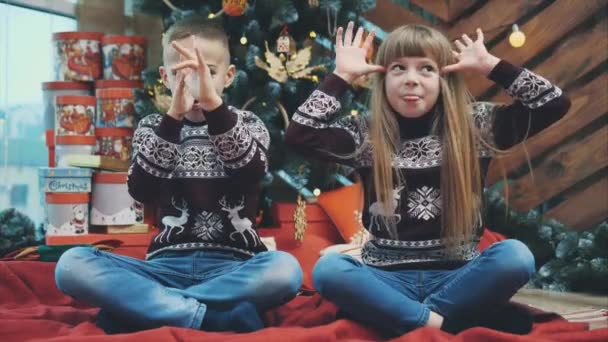Гримасовые дети в шерстяных свитерах показывают большие уши руками и вытягивают языки на деревянном фоне с рождественской елкой . — стоковое видео