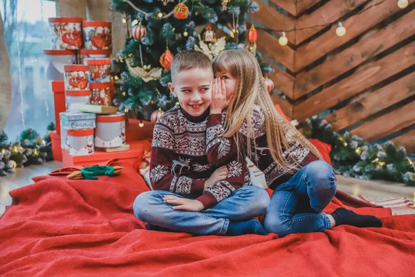 Słodkie ujęcie dziewczyny zdradzającej sekret swojemu bratu siedzącemu na czerwonym kocu w domu, wiolonczelizującej Boże Narodzenie. — Zdjęcie stockowe