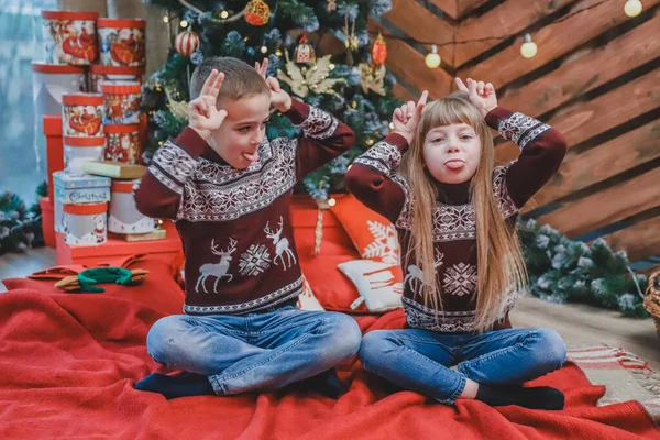 手織りのセーターに身を包んだ子供たちは手で大きな耳を見せ、クリスマスツリーで木の背景に舌を出します. — ストック写真