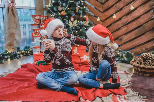 Смішний брат і сестра п'ють гарячий шоколад і розважаються у затишній вітальні напередодні Різдва . — стокове фото