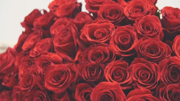 Vidéo recadrée de bouquet de grandes roses rouges tendres. La caméra monte. .