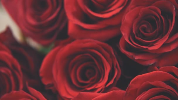 Video ritagliato sfocato di mazzo di grandi rose rosse tenere. La telecamera sta salendo. . — Video Stock