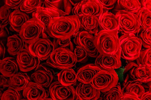 Обрезанное фото сверху букета больших тендерных красных роз . — стоковое фото