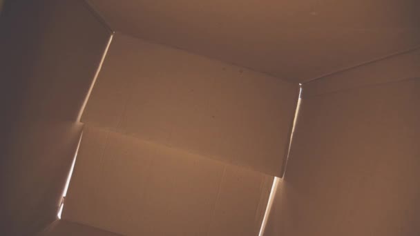 A rapariga e o rapaz estão a desfazer as malas e a olhar para a caixa. Vista de dentro da caixa. Close-up. Espaço para cópia. 4K . — Vídeo de Stock