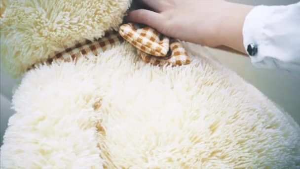 Abgeschnittene Hände eines kleinen Mädchens beim Nachjustieren der Teddybären-Fliege. — Stockvideo