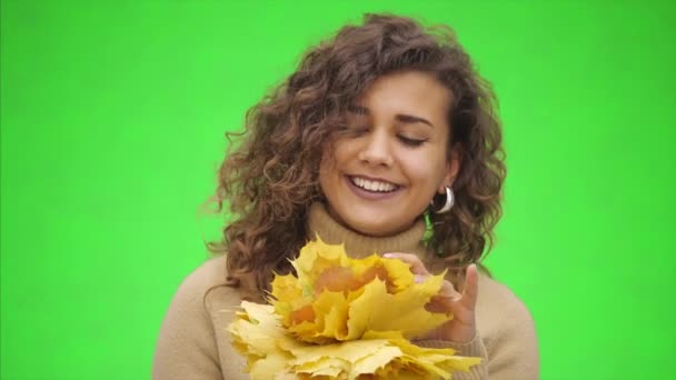 Atraktivní afro-americká dívka se široce usmívá. Dívka stojí s hromadou podzimních listí. Zavřít. Kopírovat prostor. — Stock video