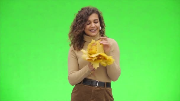 Attrayant afro-américaine fille sourit largement. Fille est debout avec un tas de feuilles d'automne. Ferme là. Espace de copie . — Video