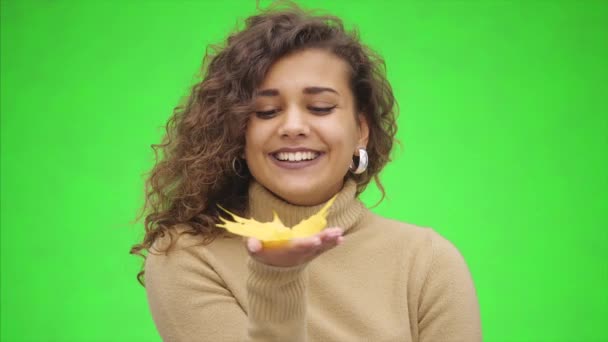 Attraktive afroamerikanische Mädchen lächelt breit. Mädchen bläst wenig Herbstlaub. zeigt sie die Schönheit des Herbstes. Nahaufnahme. Kopierraum. — Stockvideo