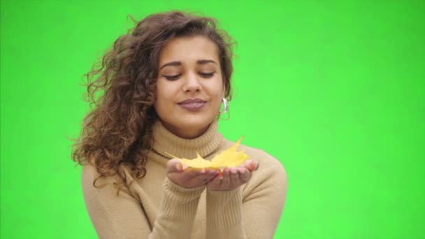 Atractiva chica afroamericana está sonriendo ampliamente. La chica está soplando una pequeña licencia de otoño. Ella está mostrando la belleza del otoño. De cerca. Copiar espacio . — Vídeo de stock