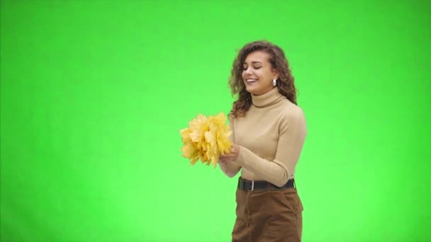 Attraktive afroamerikanische Mädchen lächelt breit. Mädchen wirft ein Bündel Herbstblätter in die Luft. Nahaufnahme. Kopierraum. — Stockvideo