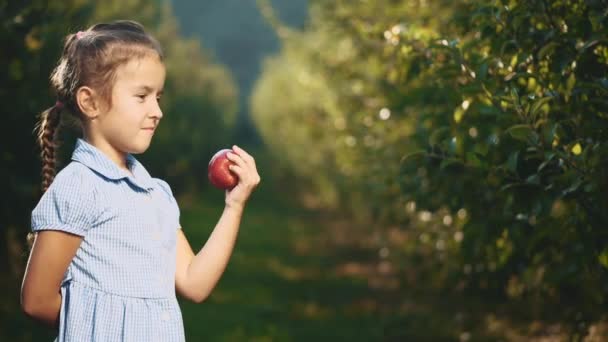 La niña está ofreciendo una manzana roja al aire libre. La chica sonríe mucho. De cerca. Copiar espacio. 4K . — Vídeos de Stock