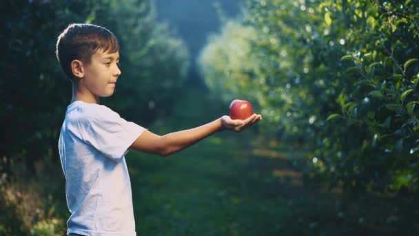 El niño está ofreciendo una manzana roja al aire libre. El chico sonríe mucho. De cerca. Copiar espacio. 4K . — Vídeo de stock