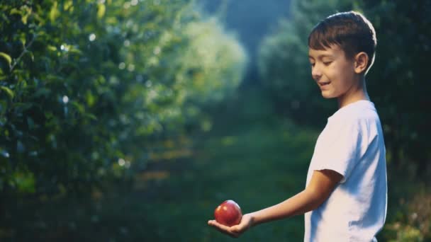 Little boy is offering a red apple outdoors. Boy is smiling widely. Close up. Copy space. 4K. — Stock Video