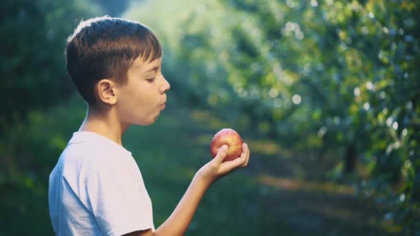 Le petit garçon en T-shirt blanc mord une pomme rouge à l'extérieur. Boy sourit beaucoup. Ferme là. Espace de copie. 4K .