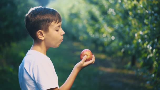 A fehér pólós kisfiú egy vörös almát harap a szabadban. A fiú széles körben mosolyog. Közelről. Másold a helyet. 4k. — Stock videók