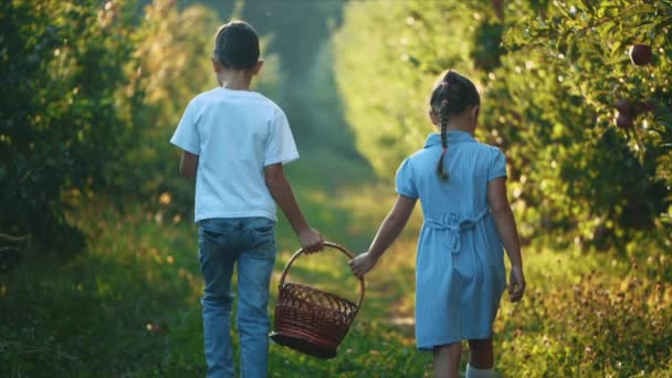 Bambina e suo fratello portano cesto lungo la bella natura. Vista posteriore. Lentamente. Al rallentatore. Ricevuto. 4K . — Video Stock