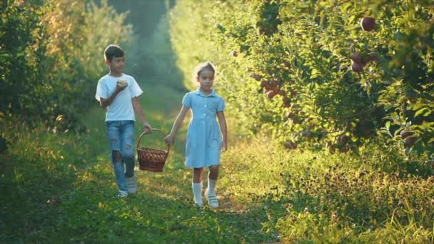 Niña y su hermano llevan canasta a lo largo de la hermosa naturaleza. El chico está comiendo manzana roja. Copiar espacio. 4K . — Vídeos de Stock