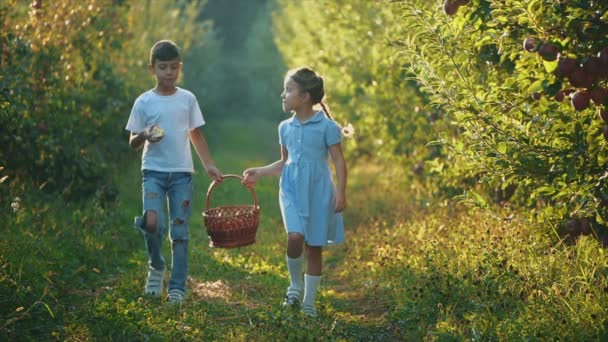 Little girl and her brother carry basket along beautiful nature. Boy is eating red apple. Slowmo. Slow motion. Copy space. 4K. — Stock Video