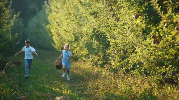 Liten flicka och hennes bror springer med korgar i sina händer längs vacker natur. Uppfattat utrymme. 4k. — Stockvideo