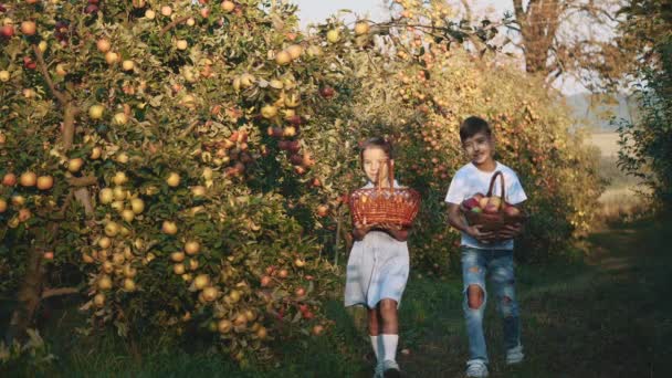 Flickan och brodern bär stora korgar med frukt. Sakta i backarna. Uppfattat utrymme. 4k. — Stockvideo