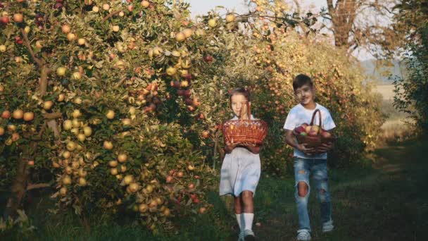 Little girl and her brother carry large baskets with fruits. Slow motion. Copy space. 4K. — 비디오