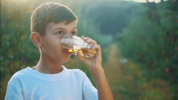 El niño bebe un jugo de manzana y lo admira, estando sobre un fondo borroso del jardín. Copiar espacio. Vista lateral. De cerca. 4K . — Vídeos de Stock