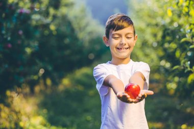 Çiftçi çocuk çiftlik hasadını sunuyor, avuçlarında elma tutuyor..