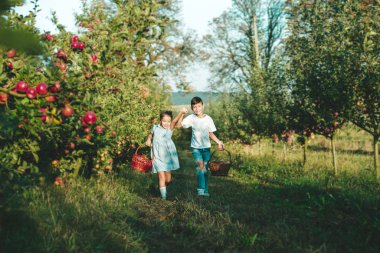 İki sevimli kardeş olgun elmalarla dolu sepetleri taşıyorlar, el ele tutuşuyorlar ve eve dönerken konuşuyorlar..