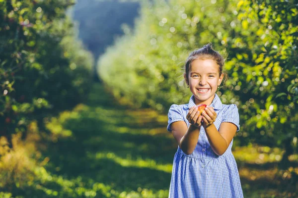 Koncept zahradního jídla. Dítě v pěkných modrých šatech, dává ti jablko, šťastně se usmívá. — Stock fotografie