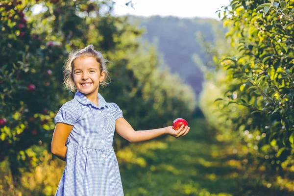 Manis tersenyum bayi perempuan memberikan apel merah dan mengundang Anda ke kebun apel. — Stok Foto