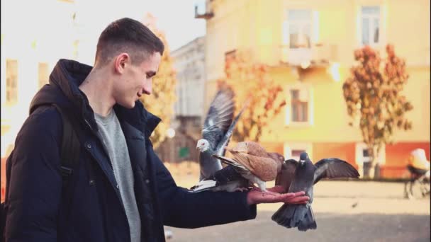 Jóképű fickó repülő galambokat etet. Magokat ad nekik. A fiú őszintén mosolyog. Másold a helyet. Felvétel. Animáció. 4k. — Stock videók