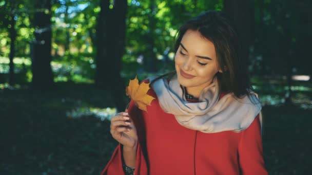 Lento. Linda joven con abrigo rojo y bufanda suavemente rosa en el cuello está mirando a la hoja de otoño, aislado, sobre fondo borroso parque. De cerca. Copiar espacio. 4K . — Vídeo de stock