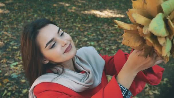 Das hübsche Mädchen hält ein Bündel Herbstblätter in der Hand und betrachtet es. verschwommener Hintergrund. Nahaufnahme. Kopierraum. 4k. — Stockvideo