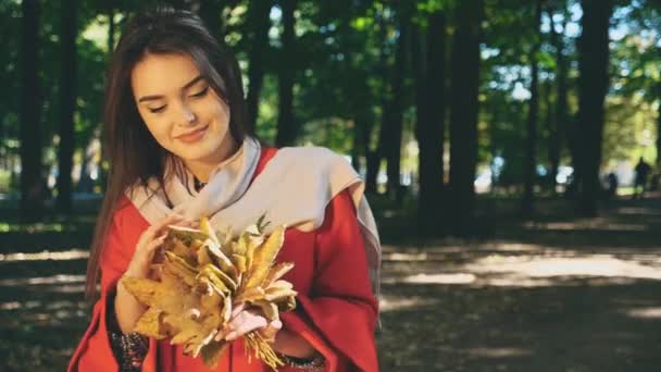 Linda menina está segurando um monte de folhas de outono e escolhe-los para fora. Fundo desfocado. Fecha. Espaço para cópia. 4K . — Vídeo de Stock