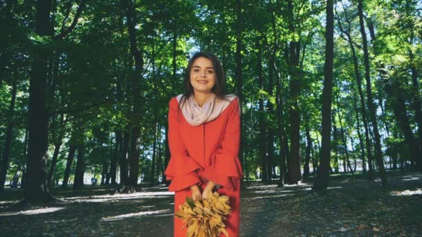 Zpomal. Krásná dívka drží hromadu podzimního listí a hodí je do kamery. Rozmazané pozadí. Rozumím. 4k. — Stock video