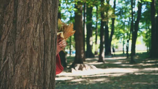 Langsam. Mädchenhand zeigt einen Haufen gelber Blätter aus Baumkauz, isoliert, auf verschwommenem Parkgrund. Nahaufnahme. Kopierraum. — Stockvideo