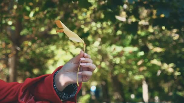 Gewas. Meisjes hand toont een geel blad, geïsoleerd, op wazig park achtergrond. Sluit maar af. Kopieerruimte. — Stockvideo