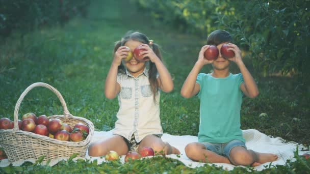 Lento. La niña y su hermano están sentados en la alfombra afuera. Hay una cesta enorme, llena de manzanas cerca de ellos. Están jugando con manzanas. Copiar espacio. 4K . — Vídeos de Stock