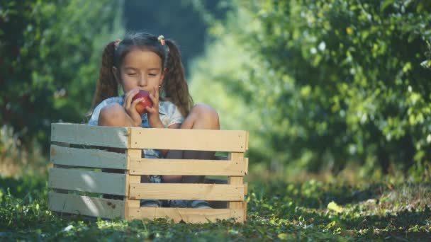 Little girl in blue T-shirt is biting a red apple, outdoors. Girl is sitting in wooden box. Copy space. 4K. — Stock Video